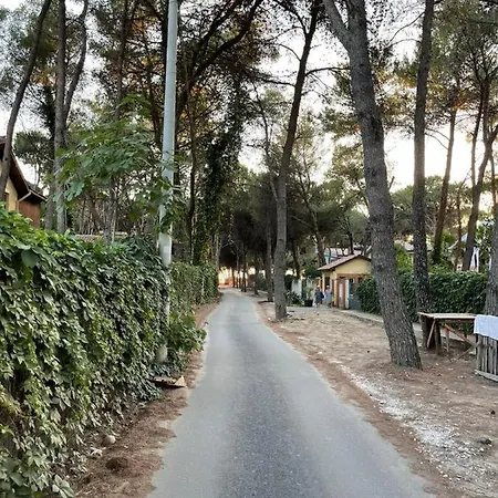 Appartamento Bega's In Golem, Durres